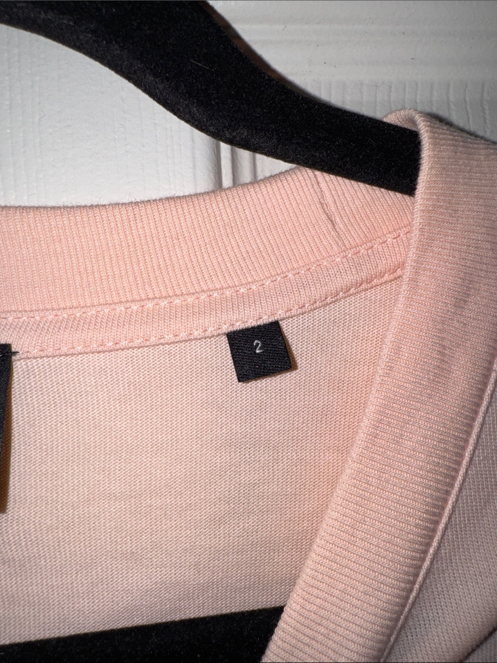 The Kooples Light Pink Cropped Tee with Blue Floral Skull Embroidery - Picture 3 of 6